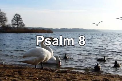 Psalm 8 – GOTTES GRÖSSE IN DER SCHÖPFUNG. DES MENSCHENSOHNES NIEDRIGKEIT UND HOHEIT